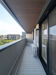 ベンガレンシス A0302号-10