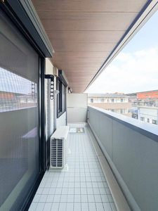 ベンガレンシス A0303号-10