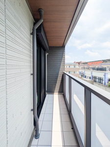 ベンガレンシス A0304号-11