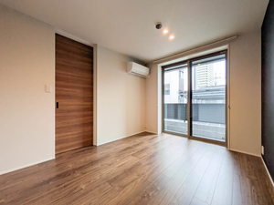 Ｓｈａｍａｉｓｏｎ　ｍａｕｖｅｉｎ A0101号-2