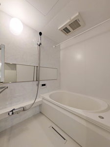 Ｓｈａｍａｉｓｏｎ　ｍａｕｖｅｉｎ A0101号-4