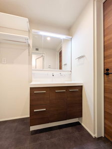 Ｓｈａｍａｉｓｏｎ　ｍａｕｖｅｉｎ A0101号-12