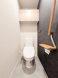 Ｓｈａｍａｉｓｏｎ　ｍａｕｖｅｉｎ A0102号-8