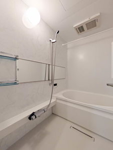 Ｓｈａｍａｉｓｏｎ　ｍａｕｖｅｉｎ A0103号-4