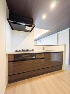 Ｓｈａｍａｉｓｏｎ　ｍａｕｖｅｉｎ A0204号-3