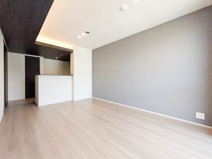 Ｓｈａｍａｉｓｏｎ　ｍａｕｖｅｉｎ A0204号-6