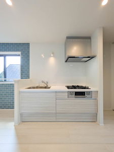 Ｓｈａｍａｉｓｏｎ　ｍａｕｖｅｉｎ A0205号-3