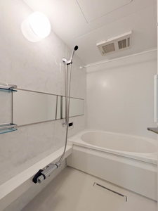 Ｓｈａｍａｉｓｏｎ　ｍａｕｖｅｉｎ A0205号-4