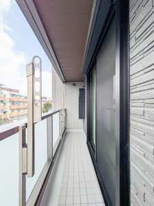 Ｓｈａｍａｉｓｏｎ　ｍａｕｖｅｉｎ A0205号-9