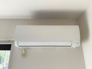 メゾン・ソレイユ A棟 A0201号-4