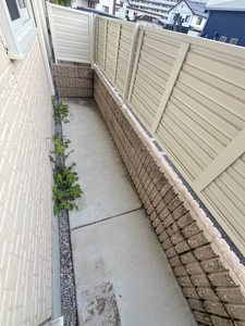 トップスターコート宮崎　Ｃ棟　＊ C0102号-10