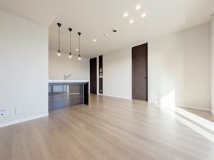 ＤＥＵＸリジエール A0303号-2