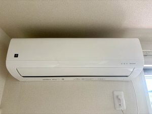 ドゥソレイユ21 A棟 A0201号-9