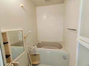 ドゥソレイユ21 B棟 B0201号-10