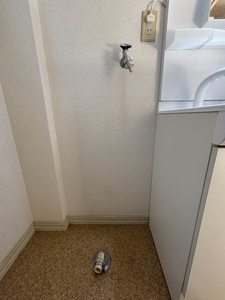 It’s FACE A0102号-6