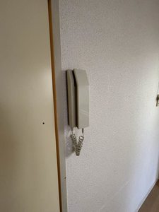 It’s FACE A0102号-8