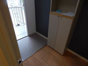 It’s FACE A0202号-11