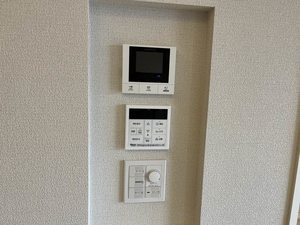 ＳｈａＭａｉｓｏｎ　ａｍｙ A0303号-6