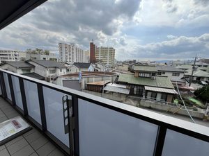 ＳｈａＭａｉｓｏｎ　ａｍｙ A0303号-8