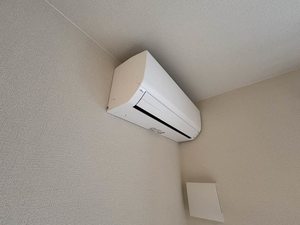 シャーメゾン　Ａｎｇｅ A0103号-11