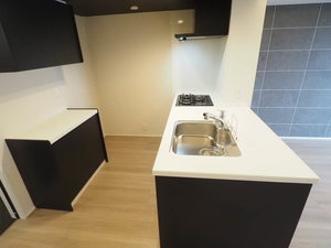 シャーメゾンプレミア鹿児島駅前 A0303号-4