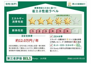 Ｐｌｕｍｊｕ． A0201号-17