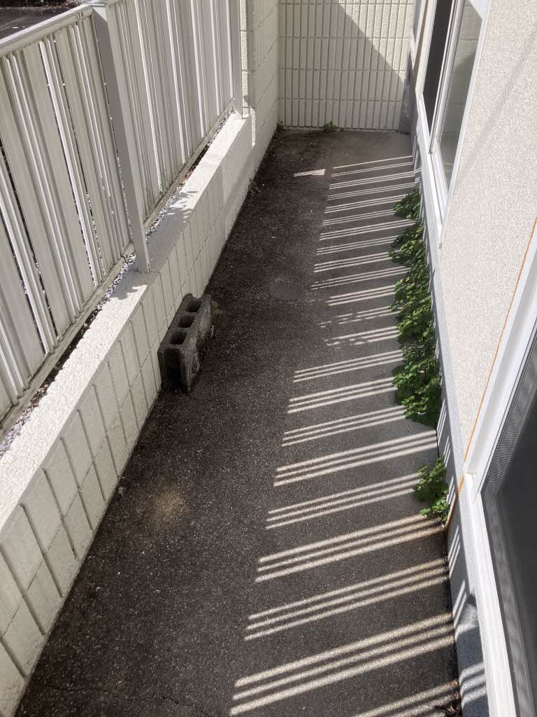 オオノニューコーポ　Ｄ棟　＊＊ D0101号-5