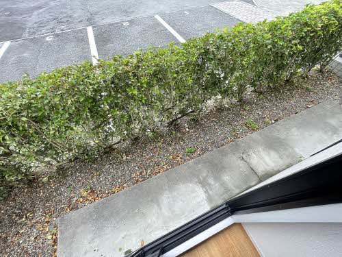 ディアスＫ　＊＊ A0102号-10