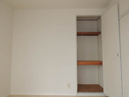 ディアスチェリー A0103号-6