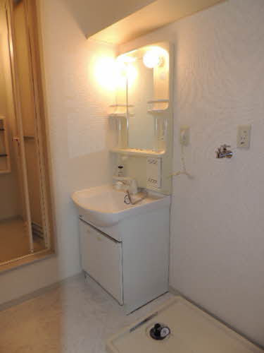 ディアスチェリー A0103号-10