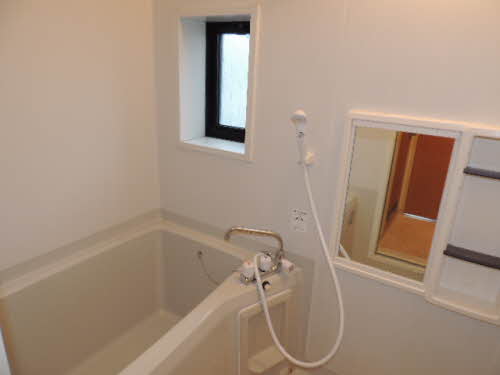 ディアスチェリー A0103号-11