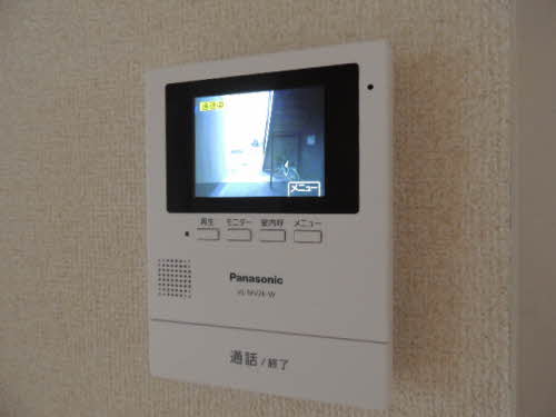 ディアスチェリー A0103号-15