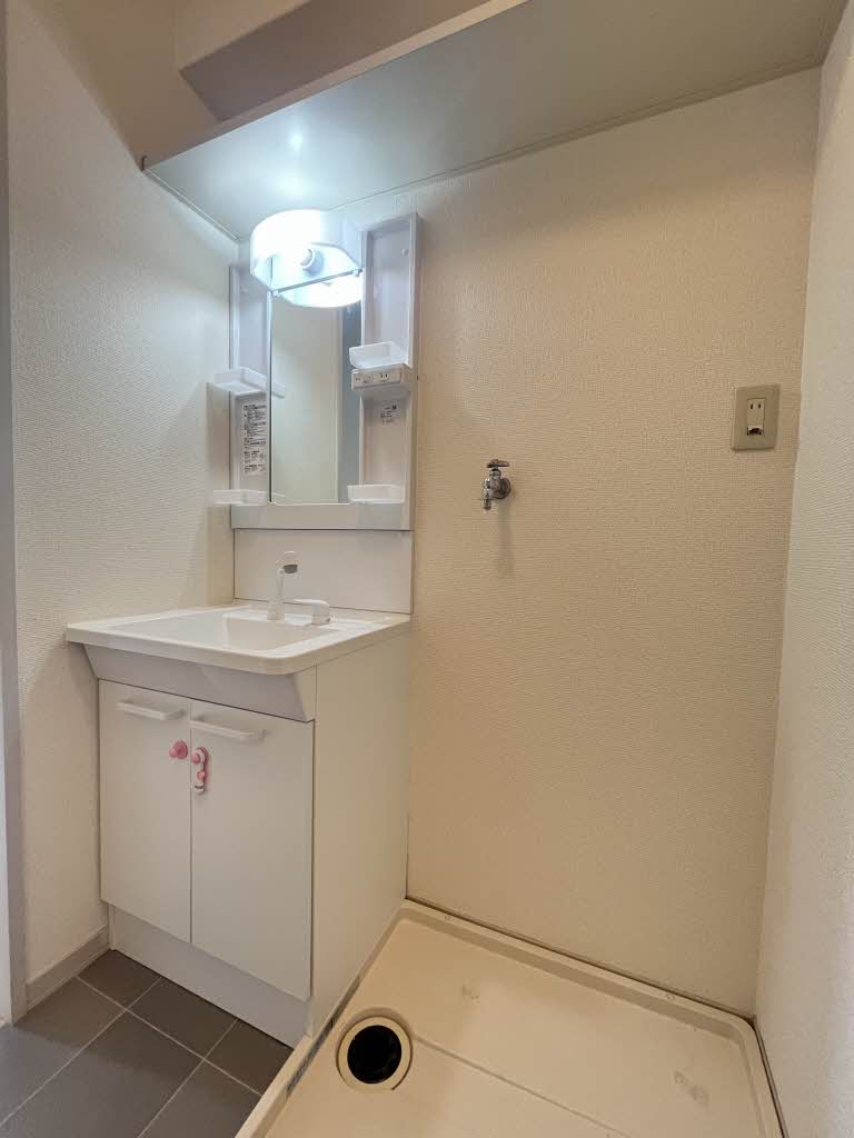 ディアス・ベイスン　＊＊ A0102号-6