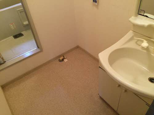 ヴァン・ヴェール　Ｃ棟　＊＊ C0203号-9