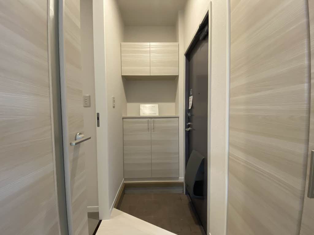 ディアスさや　＊＊ A0102号-11