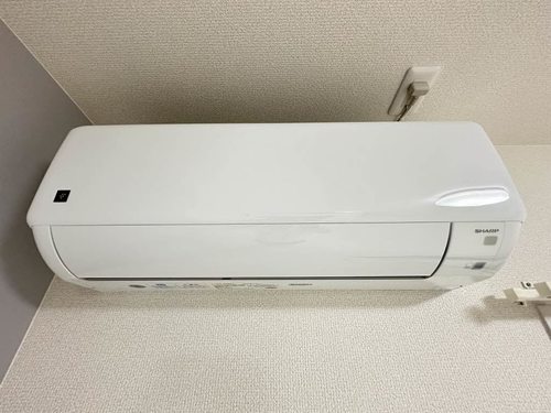 その他画像12