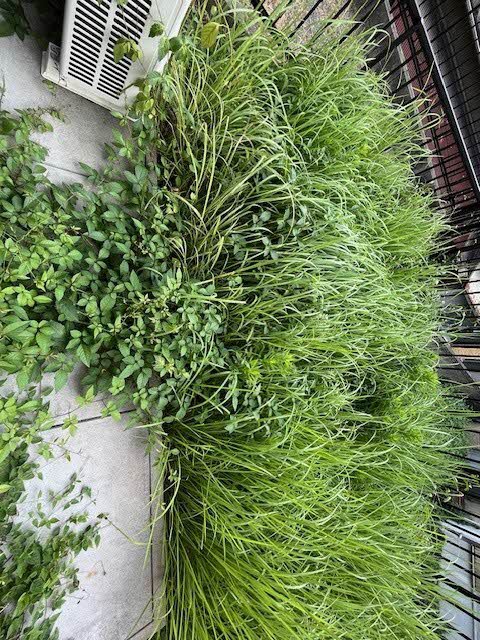 ディアスウエスト　Ｂ棟　＊＊ B0101号-12