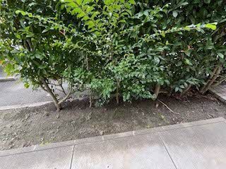 ディアスイースト　Ａ棟　＊ A0102号-13