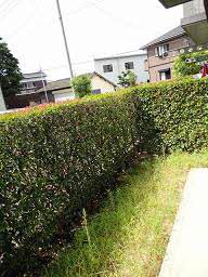 ハイラーク甘木 F棟 ** F0101号-7