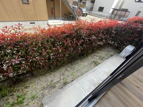 シャルマン　メゾン　Ａ棟　＊＊ A0102号-11