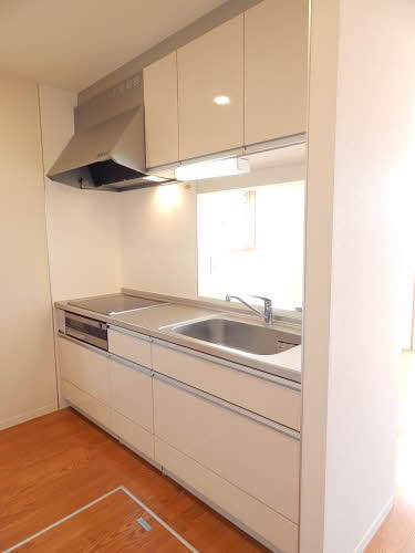 アメイジンググレイス　＊＊ A0201号-3