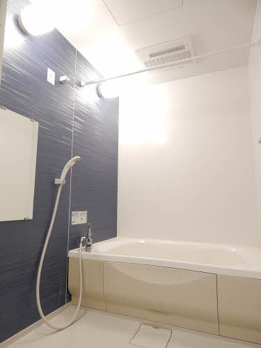 アメイジンググレイス　＊＊ A0201号-9