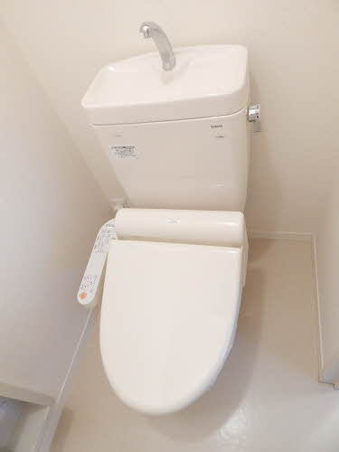 アメイジンググレイス　＊＊ A0301号-6