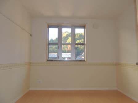 フローラル　スター　＊ A0201号-3