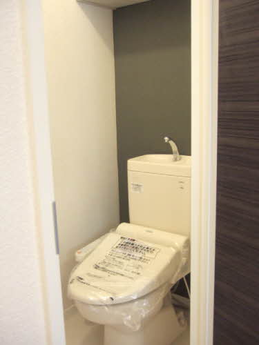 ウェルシー　＊ A0102号-6