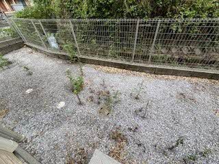 サン・ベレオ　＊＊　Ｃ棟 C0101号-12