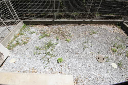 サン・ベレオ C棟 * C0102号-11