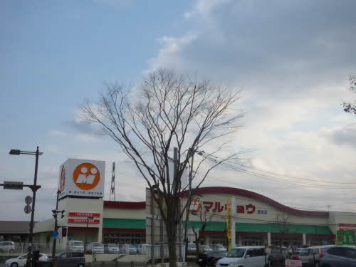 ＧＲＡＮＺ．ＭⅡ　＊＊ A0101号-6