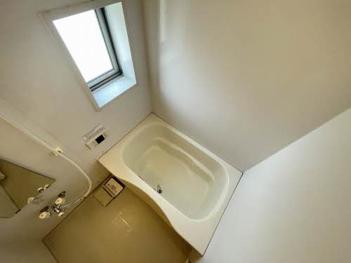 Canna S ** A0203号-4