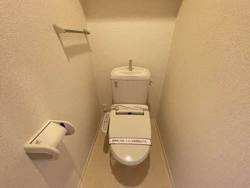 Canna S ** A0203号-5